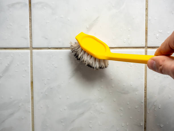 Best Emergency Mold Removal  in Coweta, OK