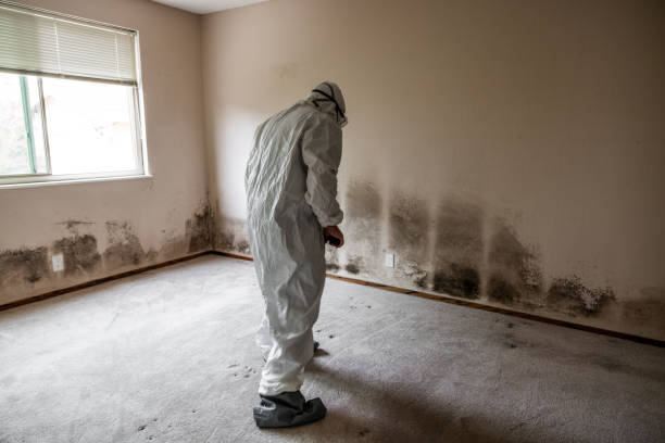 Best Local Mold Removal Service  in Coweta, OK