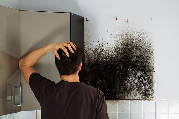 Best Professional Mold Removal  in Coweta, OK