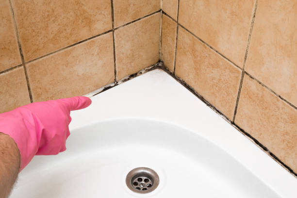Best Affordable Mold Removal  in Coweta, OK